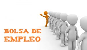 ae bolsa empleo 2105