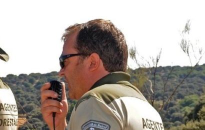 Se convocan 80 plazas de Agente Forestal, para la Comunidad de Madrid