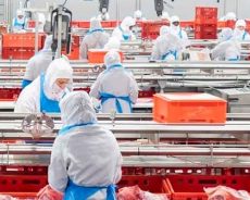 Empresa agroalimentaria busca personal para su fábrica de la provincia de Málaga
