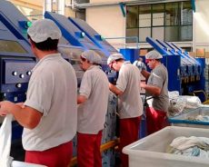 Empleo para Operarios de lavandería industrial en Alcalá de Guadaíra (Sevilla). Turnos rotativos M-T por 1.380€