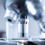 investigadores ranking