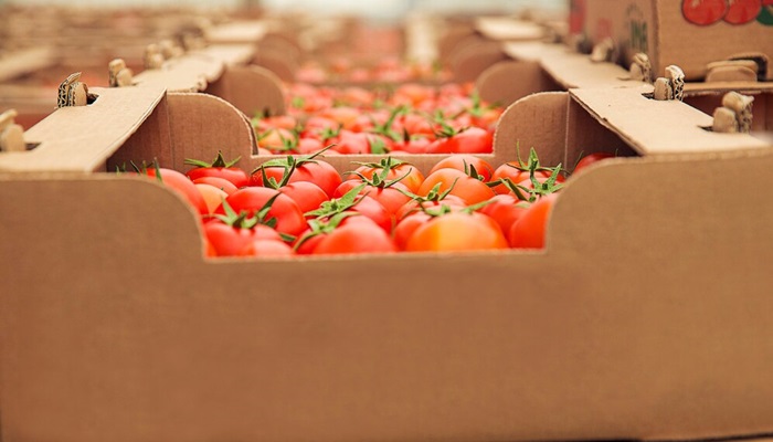 La exportación de tomate de Almería alcanza los 194 millones de euros La exportación de tomate de Almería alcanza los 194 millones de euros