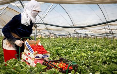 Ayudas de tres millones para la integración laboral de personas en riesgo o situación de exclusión social Ayudas de tres millones para la integración laboral de personas en riesgo o situación de exclusión social